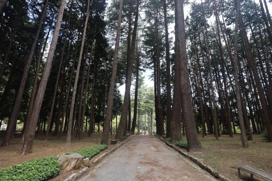 양산_법기수원지 (3)