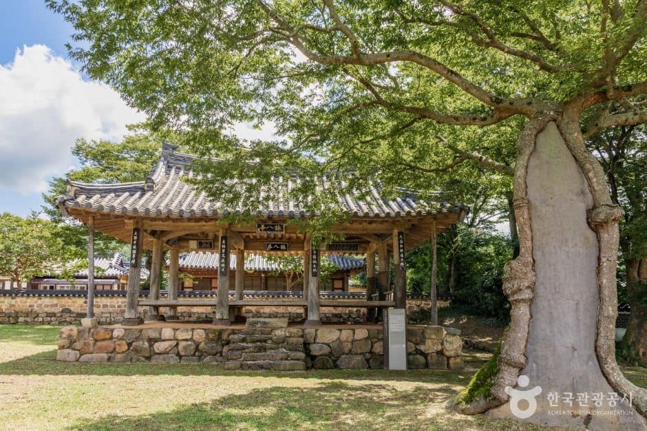 영암_영팔정 (2)