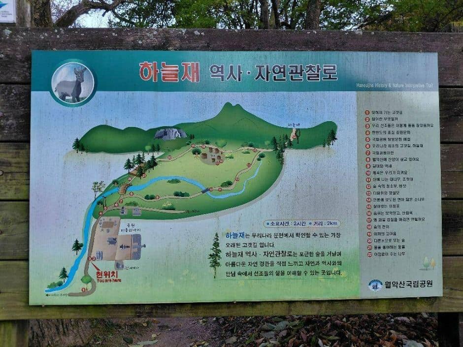 충주_하늘재 (4)