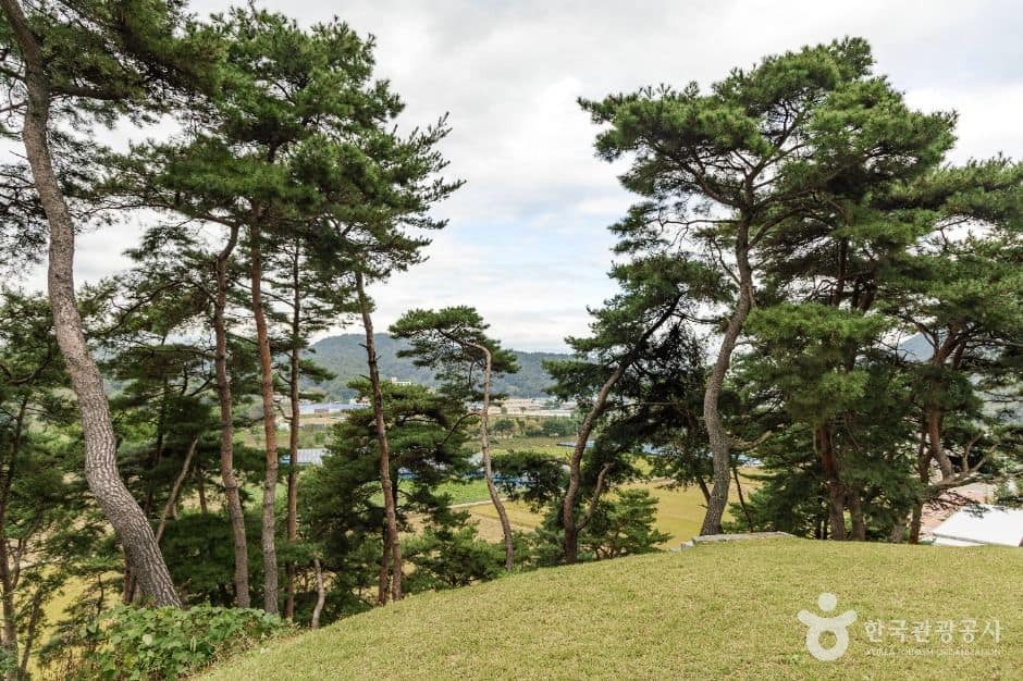 괴산_괴산 칠충사와 피세정 (1)