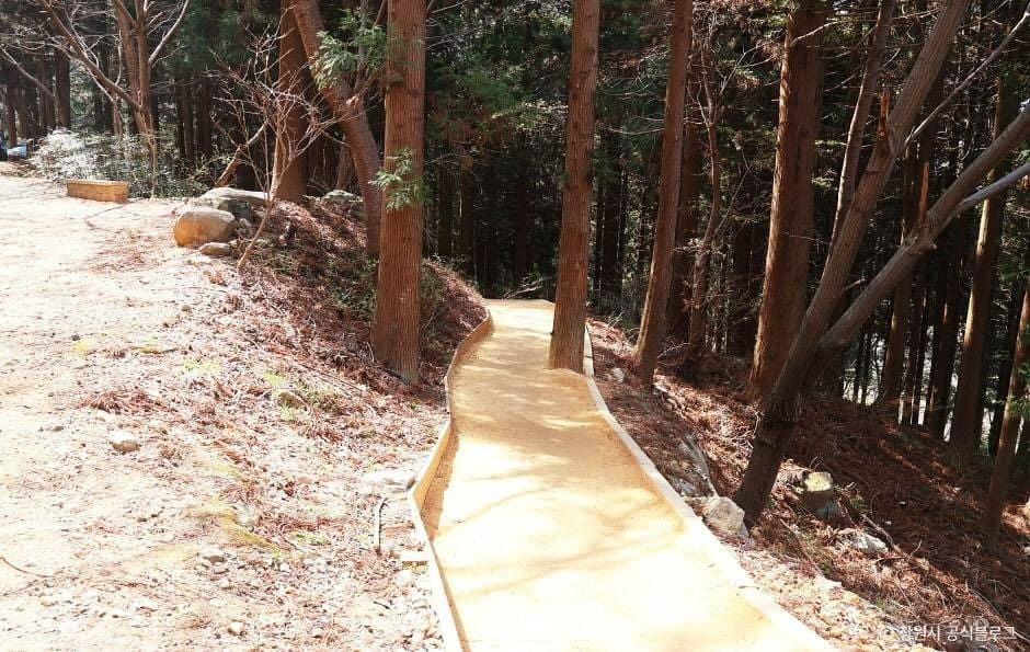 창원_진해드림로드 (1)