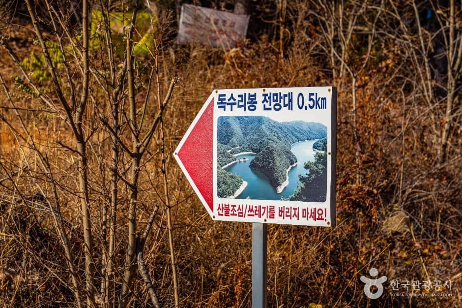 보은_독수리봉 (1)