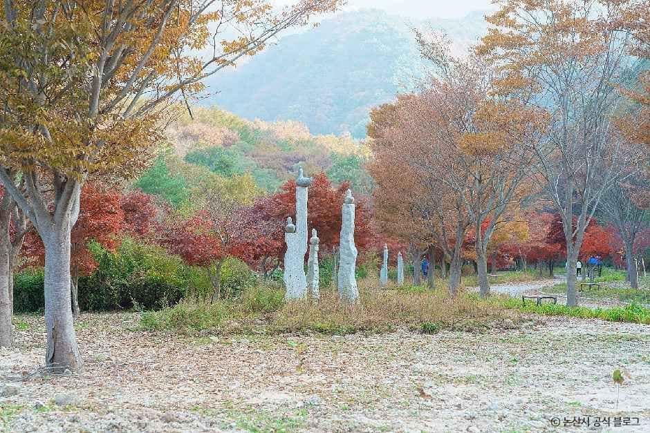 논산_대둔산도립공원(논산) (4).jpg