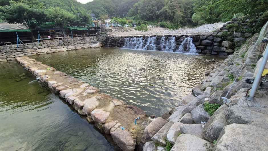 군위_팔공 쉼터 야영장 (4).jpg