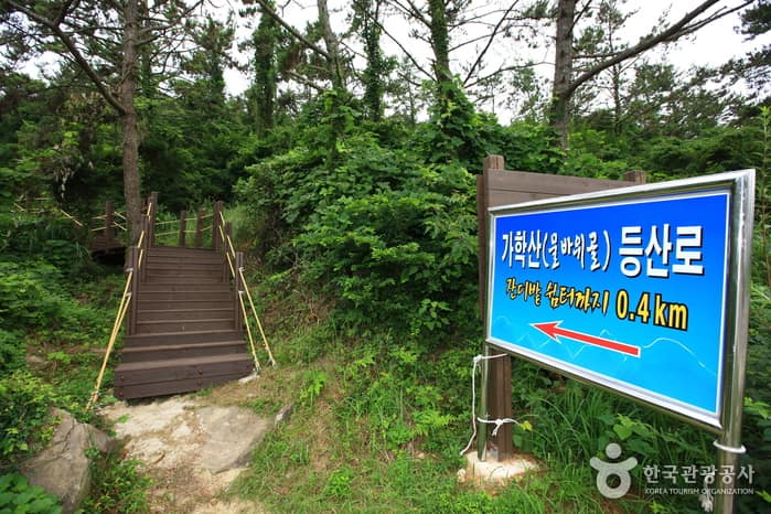 가학산(물바위골)등산로_01