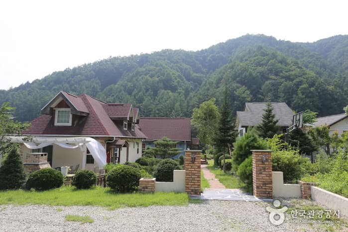안개자니펜션&글램핑 사진 2