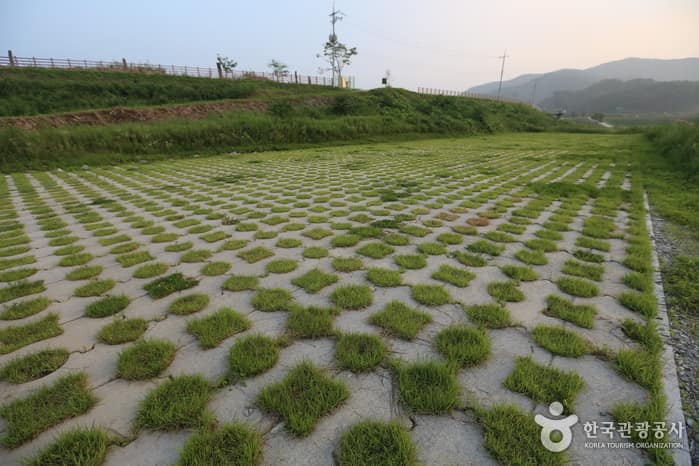 충북_충주_봉황경(능암리섬)01