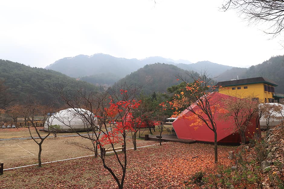 강원도_원주시_산사랑글램핑_전경