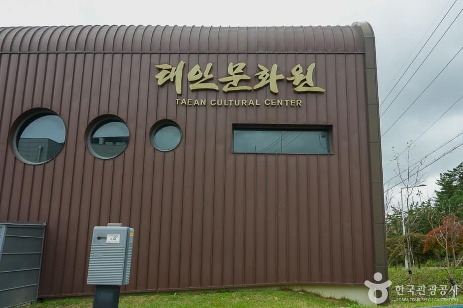태안 문화원 (15)