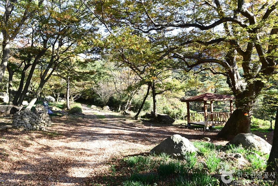 전북_고창_고산 (20)