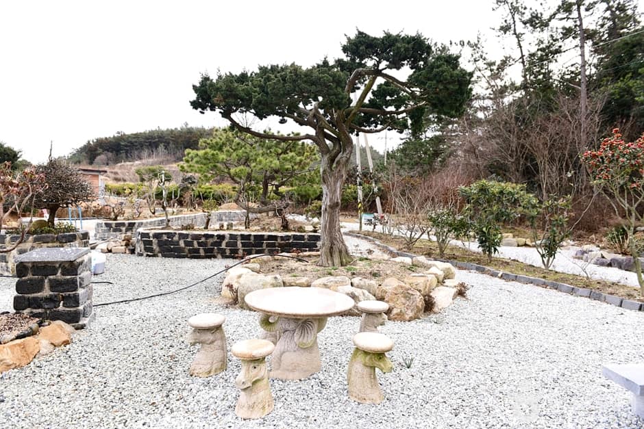 땅끝우림정원 (4)