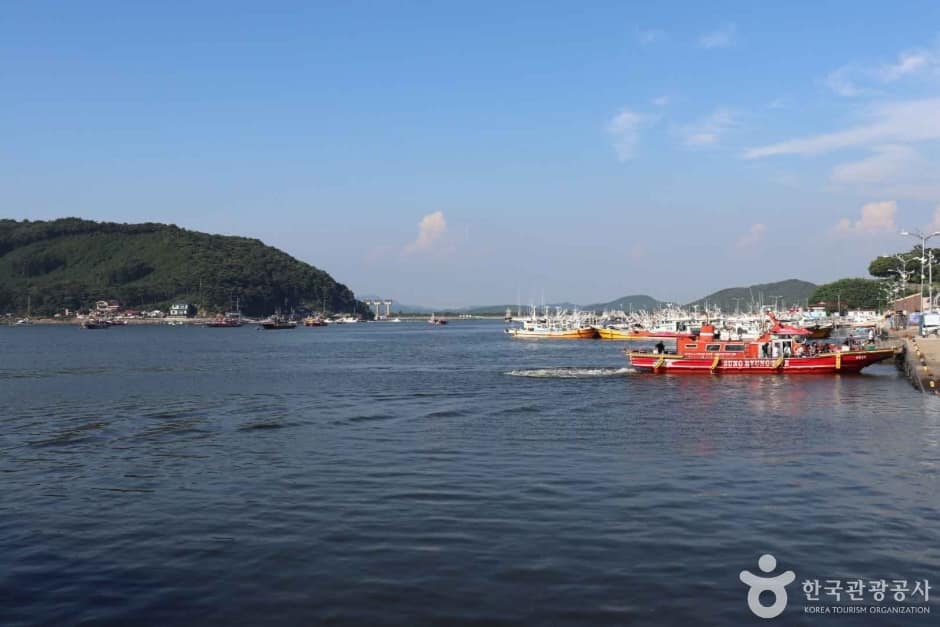 오천 안면도 (3)_e