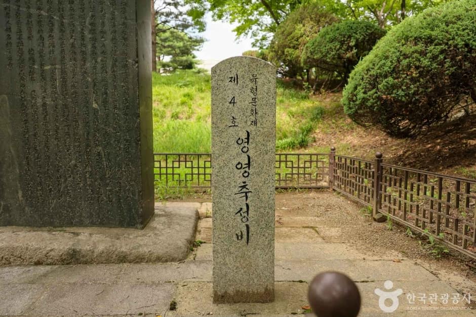 영영축성비 (6)