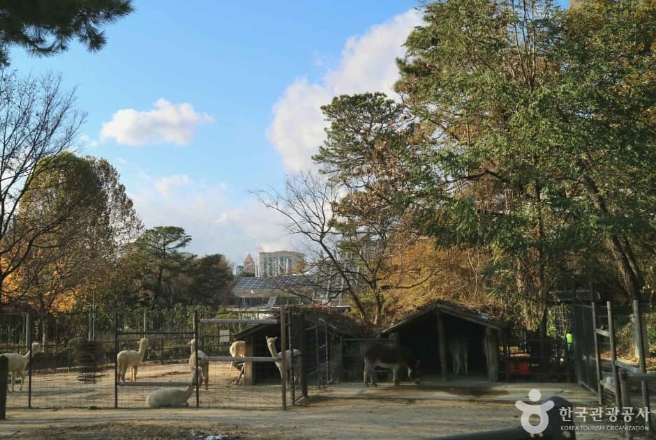 서울어린이대공원 (5)