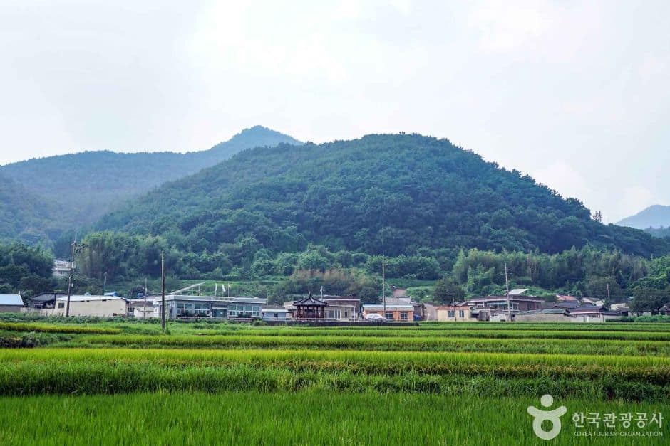 삼계마을 (1)