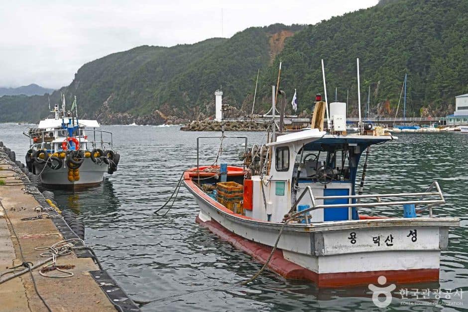 삼척_덕산항 (3)