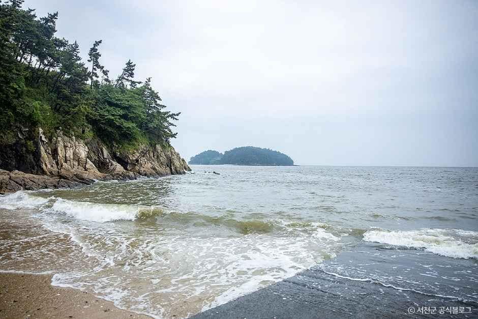 서천_띠섬목해변 (5)