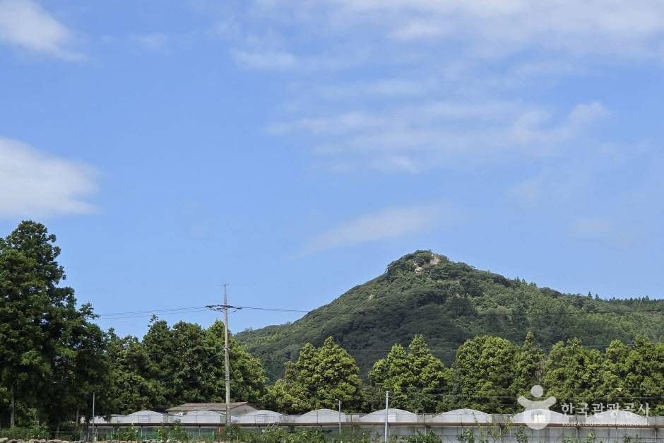 각시바우오름_e (2)