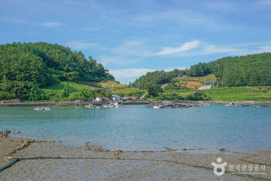 고흥_원주도 (2)