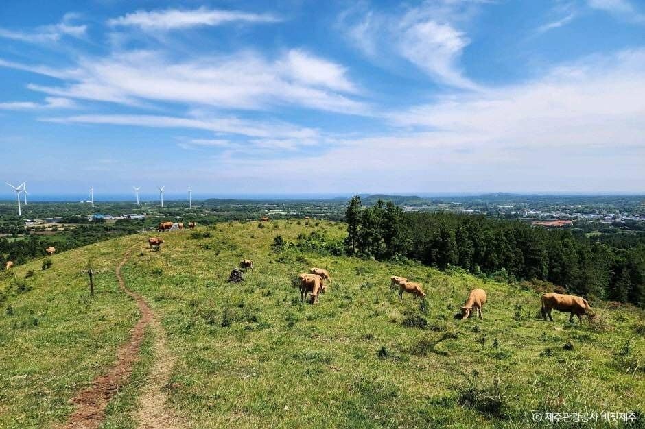 서귀포_영주산 (1)