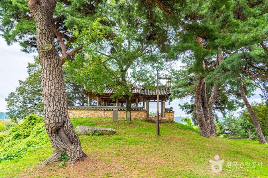 안동_삼귀정 (1)