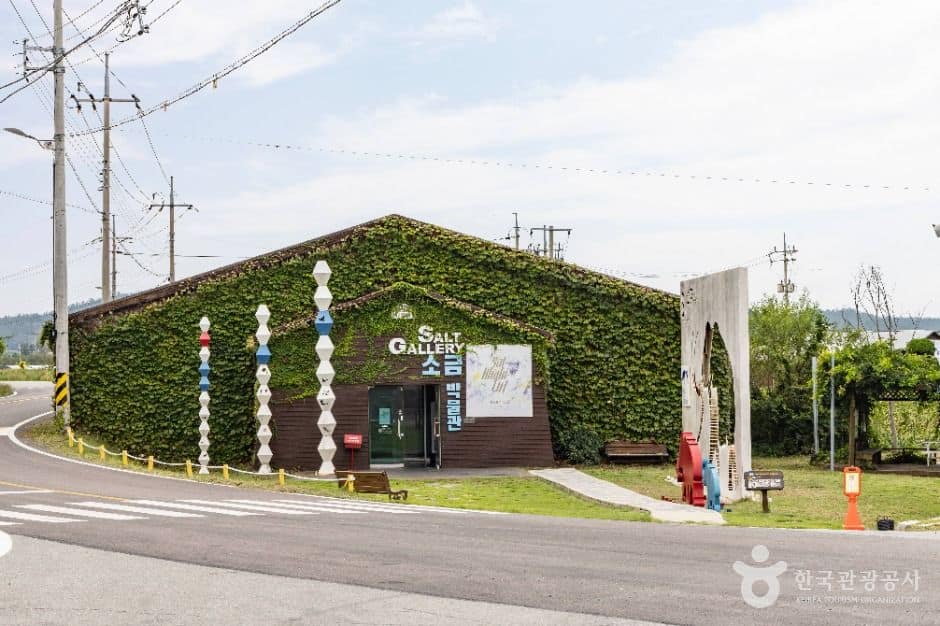 신안_증도(신안) (1)