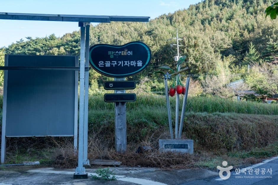 청양_청양 은골구기자마을 (1)