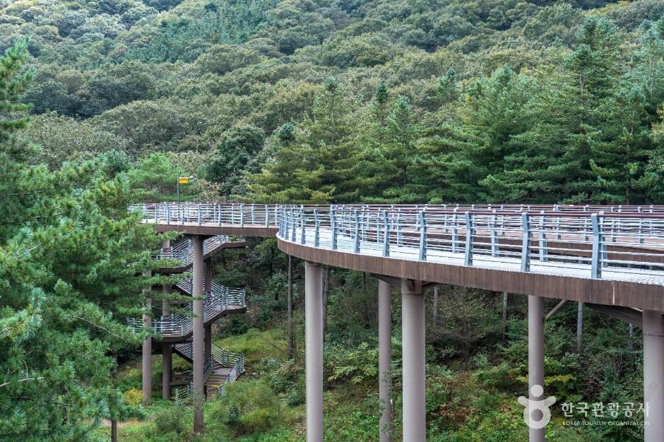 보령시_보령 무궁화수목원 (9)