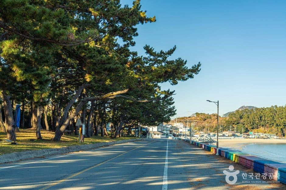 완도_동고리해수욕장 (1)