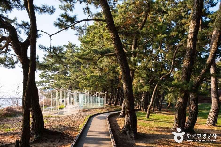 경기_화성_서해안 황금해안길_외부5.jpg