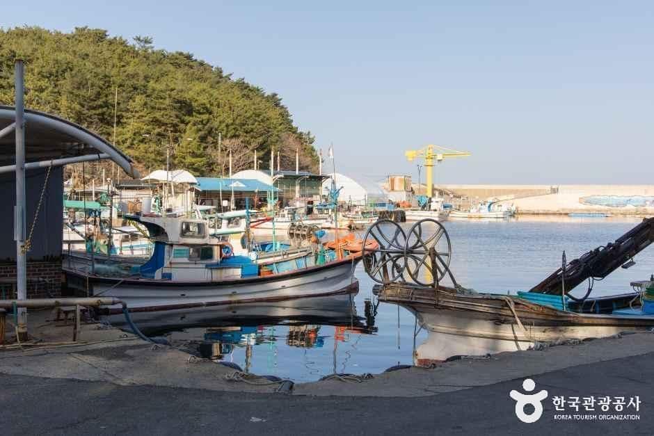 고성_백도항 (1).jpg