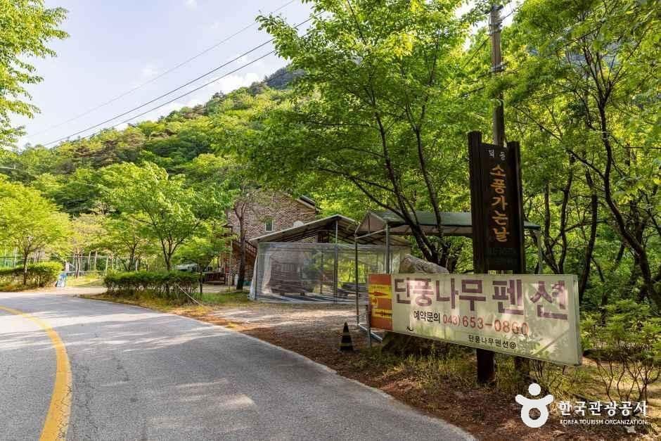 제천_덕동소풍가는날 팬션캠핑장 (6).jpg