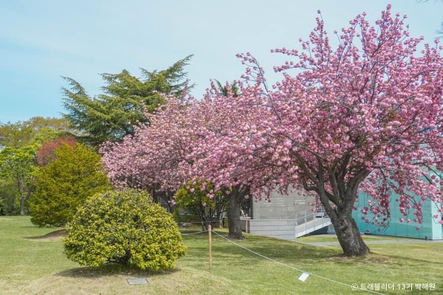 부산_대연수목전시원 (5)