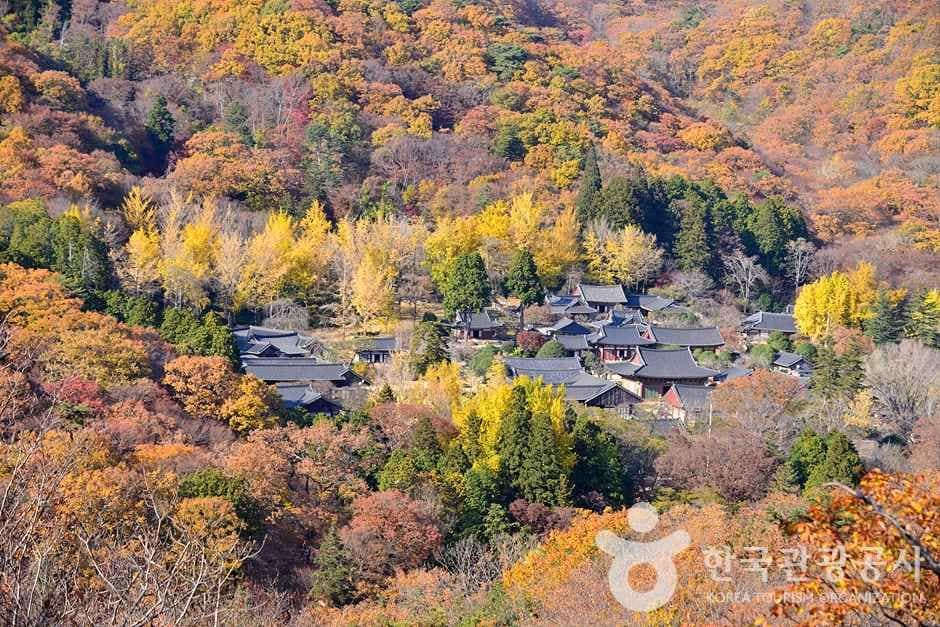 조계산도립공원 (9)