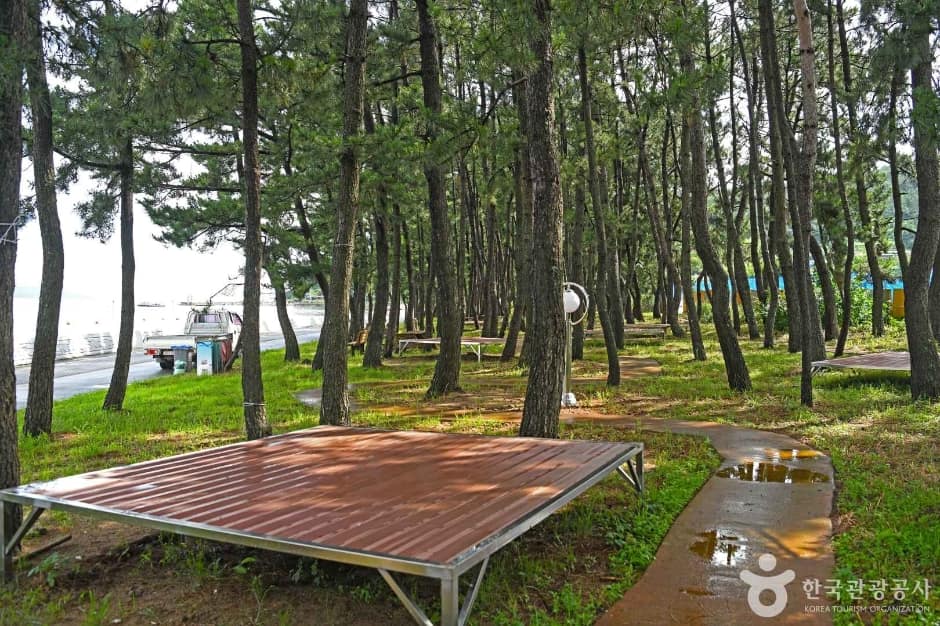 용동해수욕장 (5)