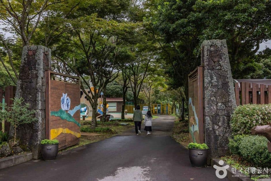 제주_제주 노루생태관찰원 (3)