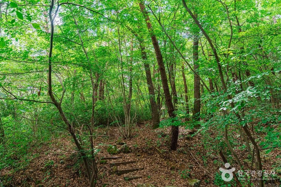 광주_[무등산 옛길 3구간] 장원삼거리~환벽당 (7)