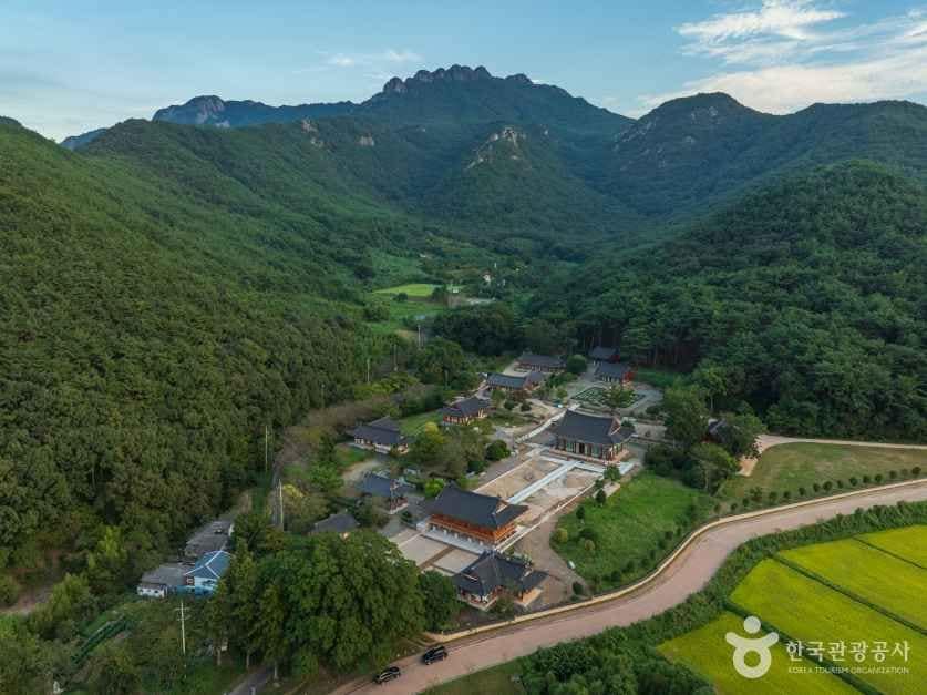 능가사 (2)
