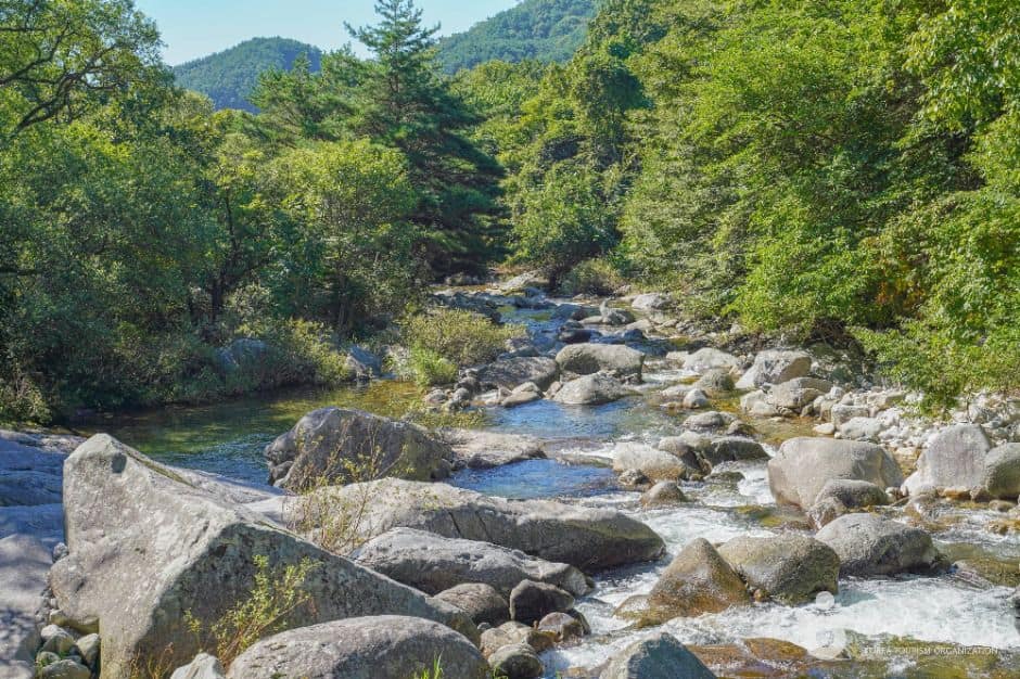 함양_기백산 용추계곡과 용추폭포 (7)