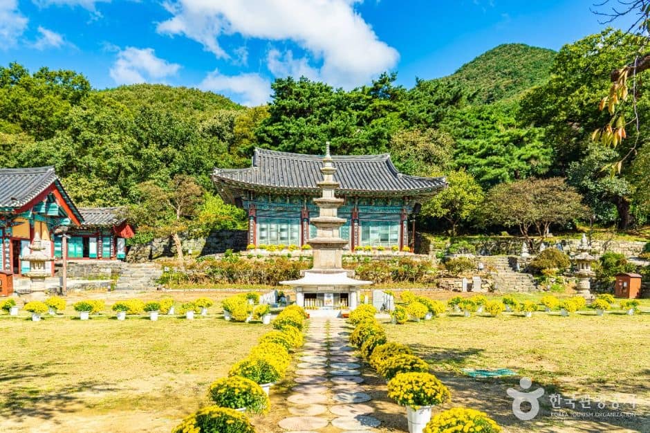 공주_신원사 (1)