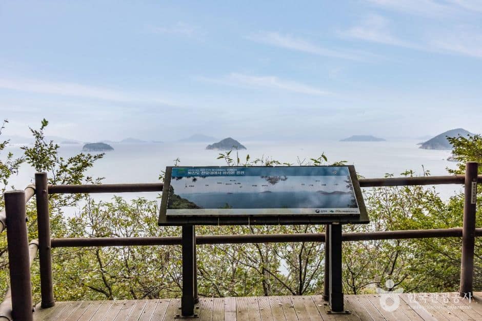통영_비진도 산호길 (6)