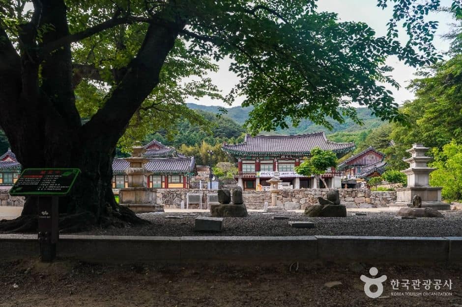 대구_[대구올레 팔공산 3코스] 부인사 도보길_사진현행화_촬영 (5)