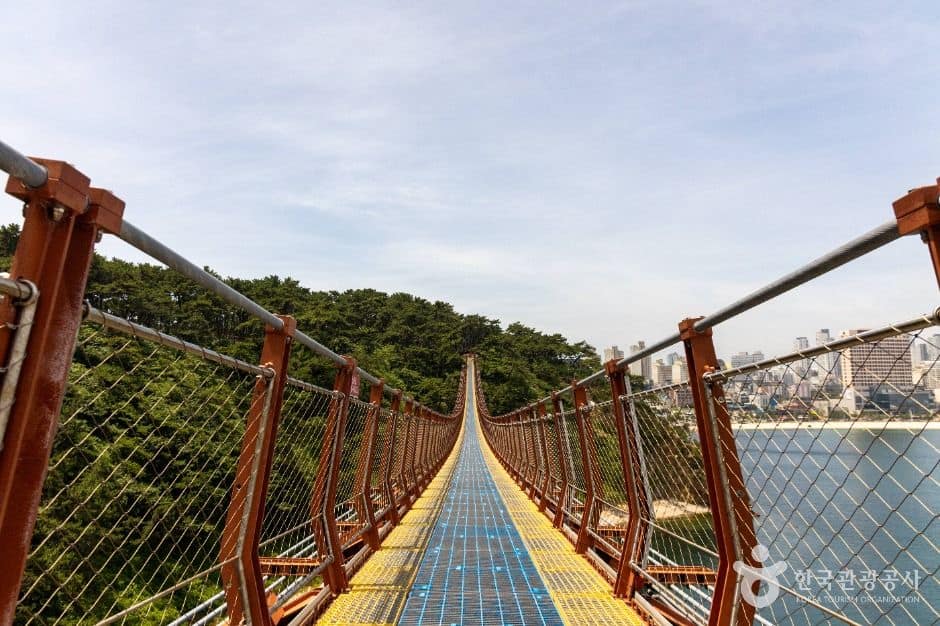 대왕암공원 출렁다리 (1)