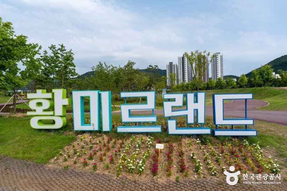 전남_장성_황미르랜드 테마공원_전경_1.jpg