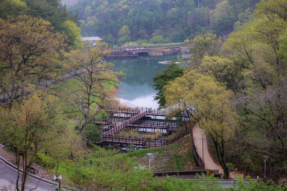 공주_공주 산림휴양마을 (2).JPG