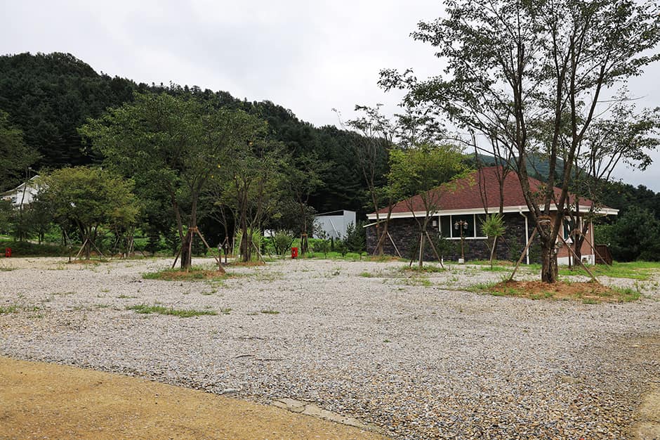 더포레스트_전경2
