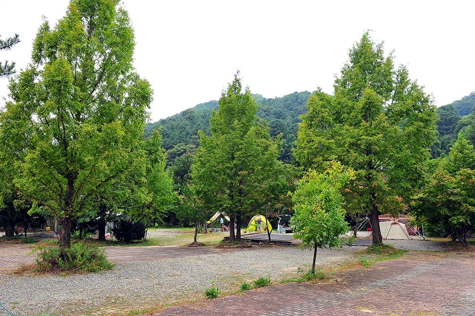 산촌오토캠핑장_전경2