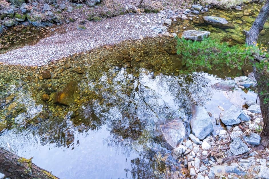 남천계곡 (9)