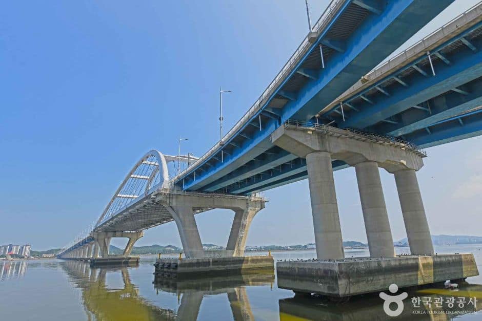 동백대교 (4)