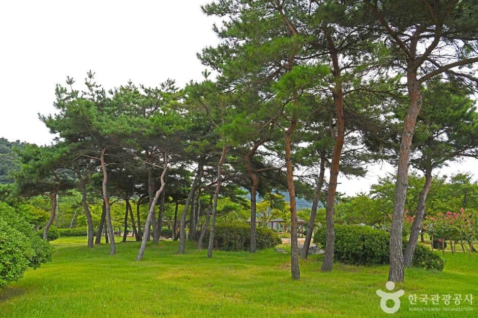 한마음공원 (7)
